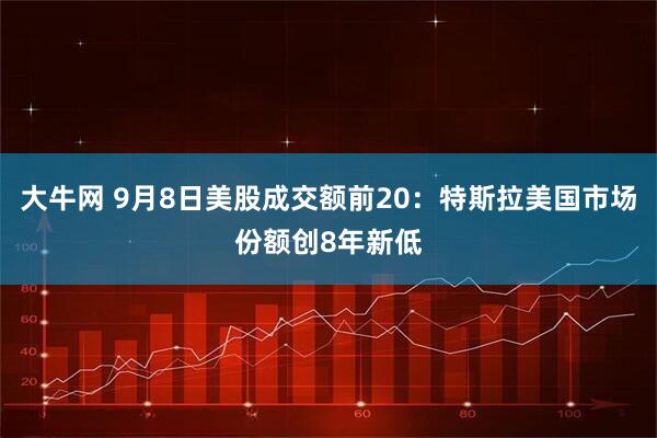 大牛网 9月8日美股成交额前20：特斯拉美国市场份额创8年新低
