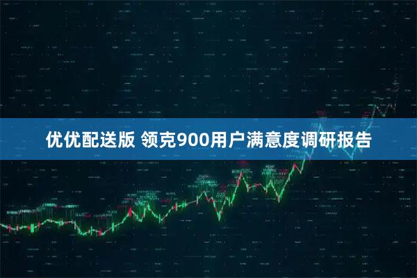 优优配送版 领克900用户满意度调研报告