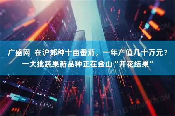 广盛网  在沪郊种十亩番茄，一年产值几十万元？一大批蔬果新品种正在金山“开花结果”