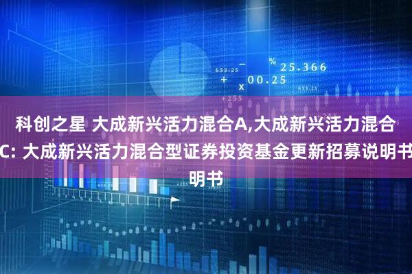 科创之星 大成新兴活力混合A,大成新兴活力混合C: 大成新兴活力混合型证券投资基金更新招募说明书