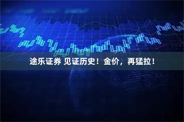 途乐证券 见证历史！金价，再猛拉！