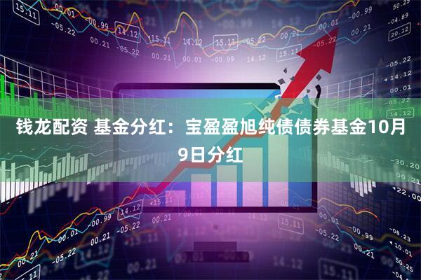 钱龙配资 基金分红：宝盈盈旭纯债债券基金10月9日分红