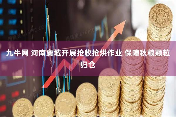 九牛网 河南襄城开展抢收抢烘作业 保障秋粮颗粒归仓