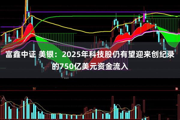 富鑫中证 美银：2025年科技股仍有望迎来创纪录的750亿美元资金流入