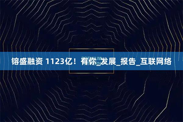 镕盛融资 1123亿！有你_发展_报告_互联网络